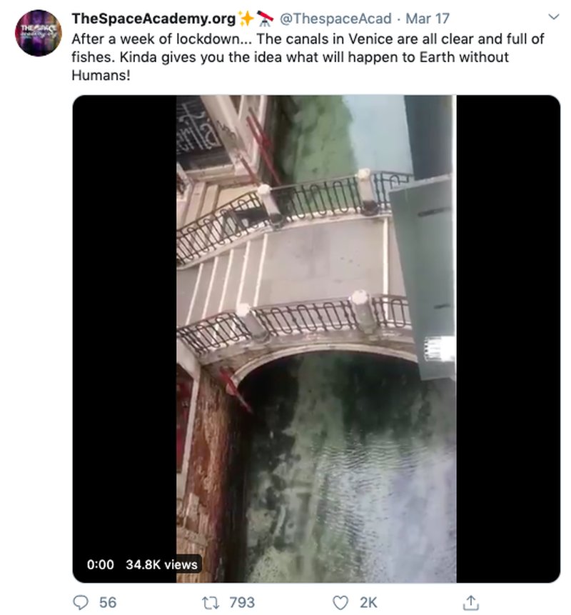 Venedig Venedig